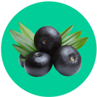 Imagem categoria Açai
