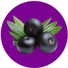 Imagem categoria Açai